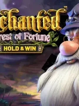 Enchanted Forest of Fortune: Hold and Win