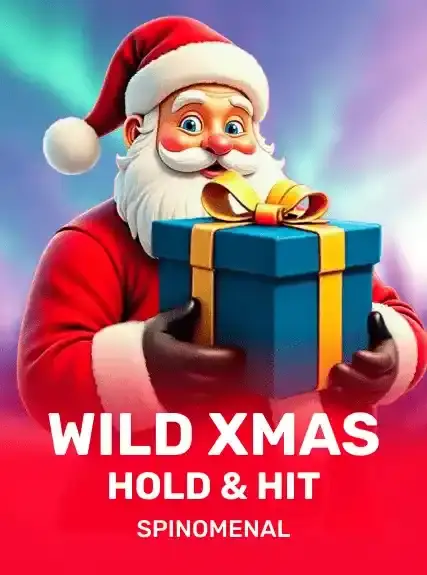 Wild Xmas -  Hold & Hit