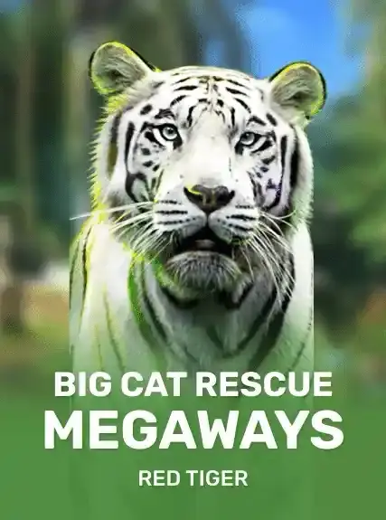Big Cat Rescue Megaways