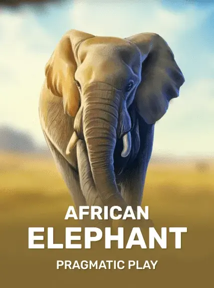 African Elephant